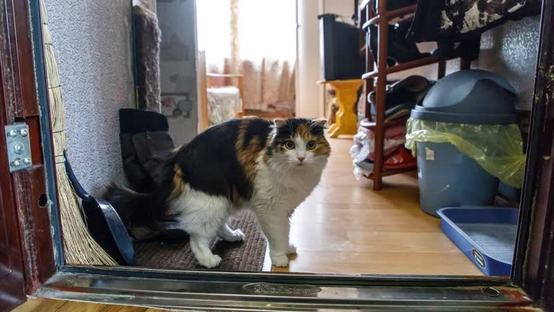 Волгоградские чиновники вышвыривают девять семей на улицу