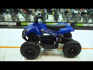 Квадроцикл молодые wels thunder e king 1000 w