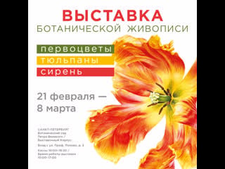 Saint petersburg botanical art exhibition primroses, tulips and syringa 2021