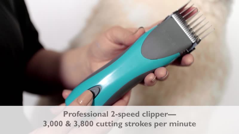 Andis endurance brushless motor clipper 65335 turquoise bdc