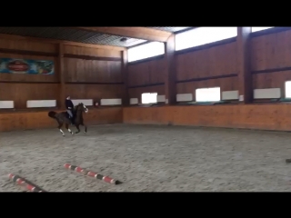 Видео от gorchakov equestrian team