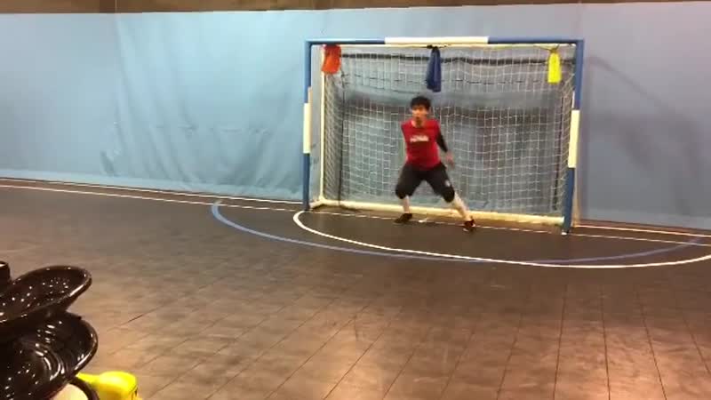 Тренироа вратаря