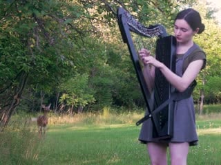My harp session turned into a disney movie