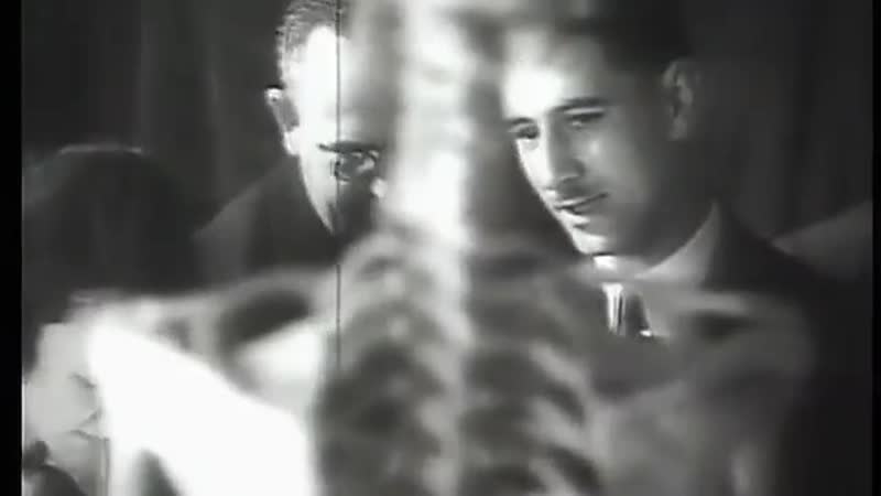 Лабиринты времени секретные файлы