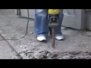 Ну шурик, вот тебе напарник