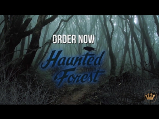 Disney treasures haunted forest teaser!