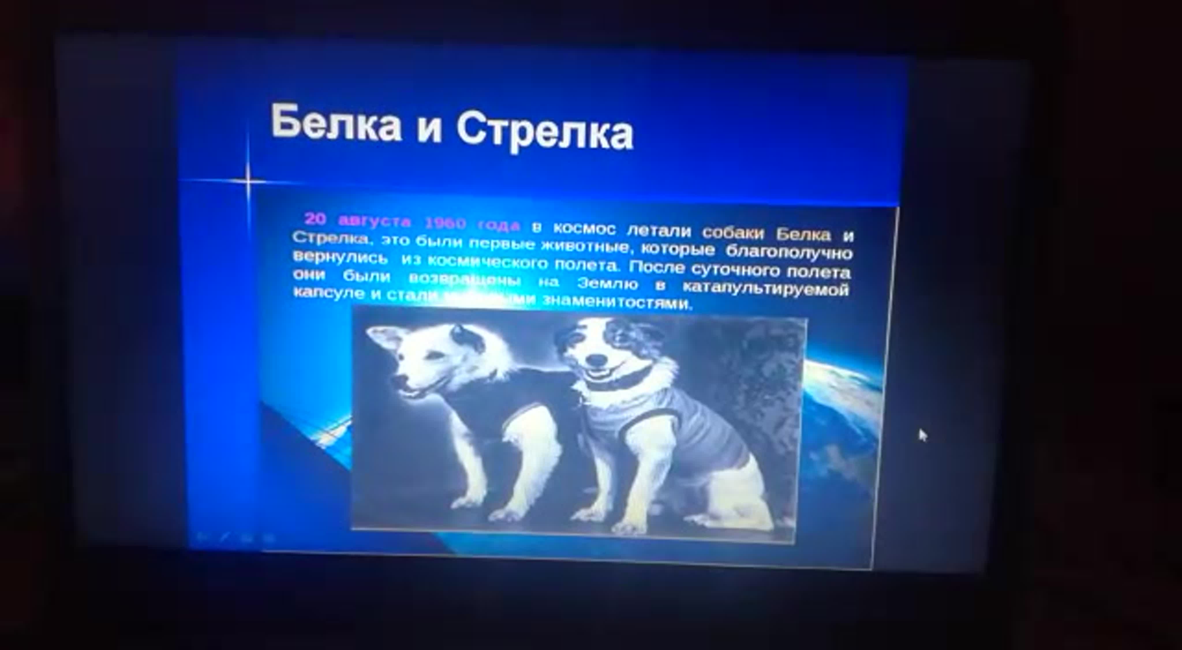  ирина соболева инцест 