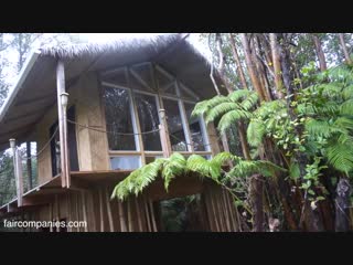 Building your own hawaii minimal house for a vacations cost