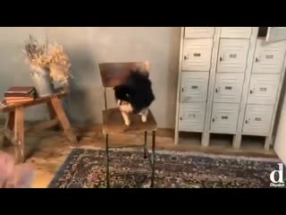 @dispatchsns of btsv and tannie