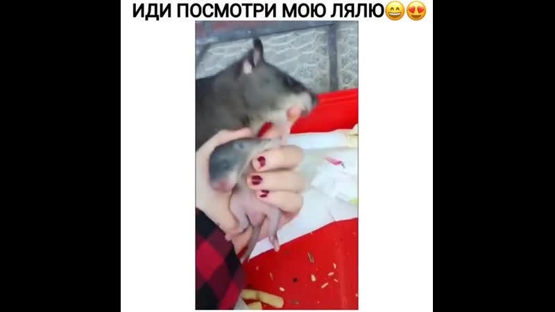 Посмотри porn video – Иди посмотри мою лялю