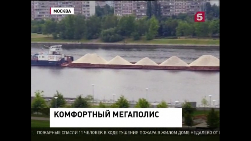 Столичные власти рассказали о программе озеленения москвы