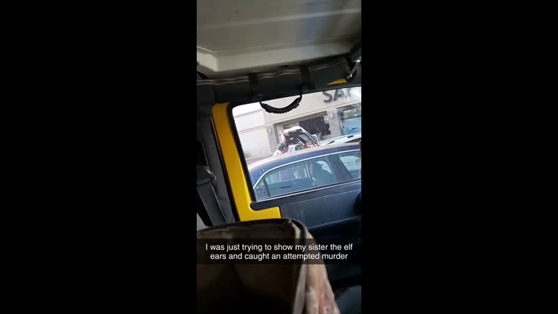 Поэтому эльфы и вымерли