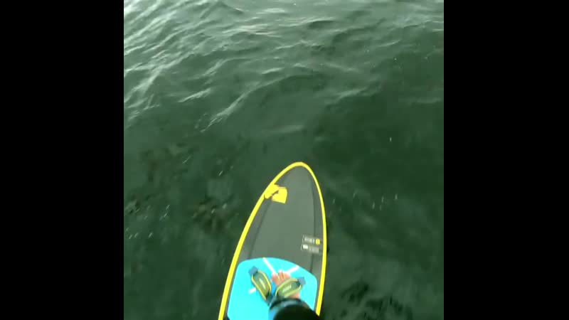 Michal brona 20200827 5 mp4