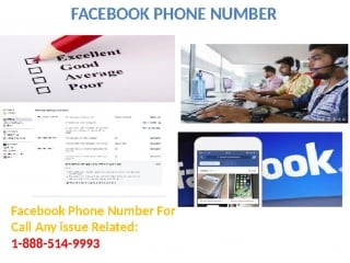 Can i get facebook phone number @1 888 514 9993 on public holidays?