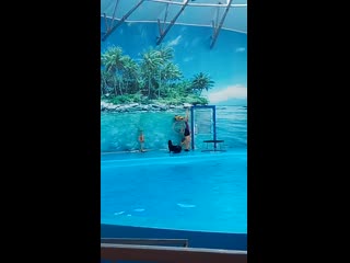 Vid 20190825 103701 mp4