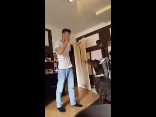 Versailles marquis brilliant balthazar 8m