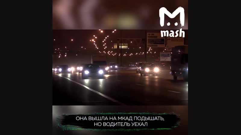 Ворона москвичка ru