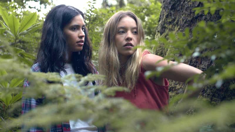 Клементина 2020