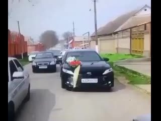 Majorka video 122491066 790569924822159 2713993555297770740 n mp4