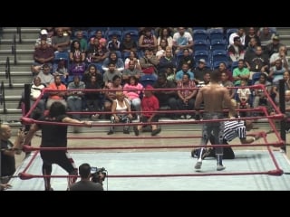 Wwc superestrellas de la lucha libre