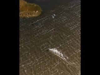 Gabby pioraite 20201201 2 mp4