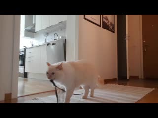 Left my cat alone with a camera for 30 minutes and now i can never leave again