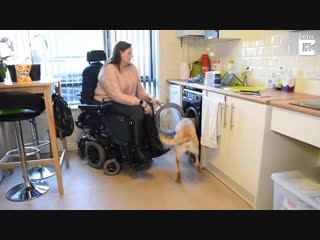 Disabled woman teaches dog to help with washing
