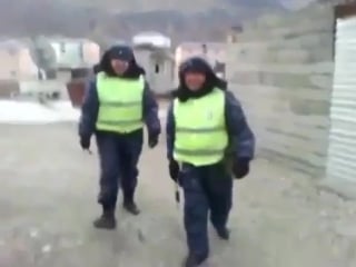 Осел похитил инспектора гибдд, милиция, полиция жжет, смешное видео жесть, прикол, юмор, игры, не порно не секс ню, голые ржака