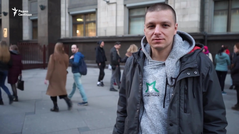 Зоозащитники предупредили госдуму