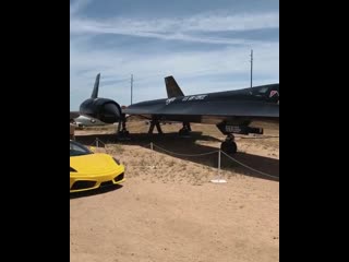 Blackbird и ferrari