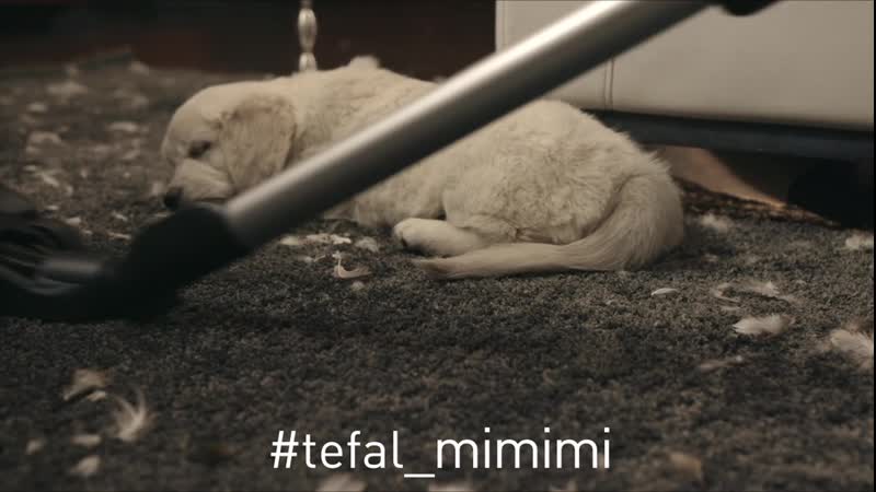 Ивлев #tefal mimimi