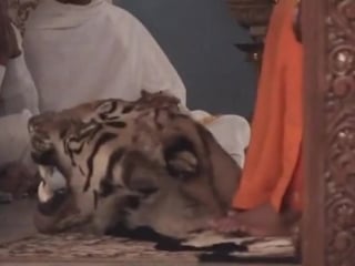 Sai~shiva пуруша шакти дэви