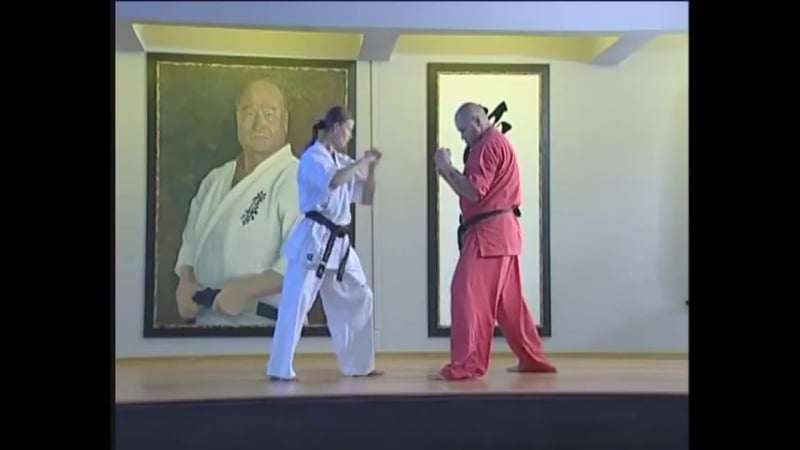 Lessons kyokushinkai elena vorobyova