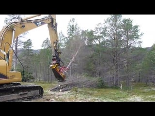 Cat excavator