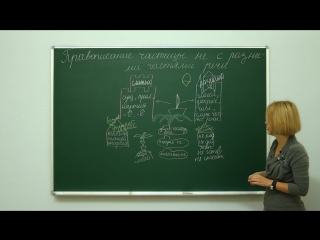 Русский язык правописание частицы не с разными частями речи центр онлайн обуче