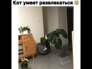 Хорошо повис 😳