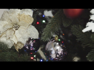 Стежинками зимових мрій (promo)