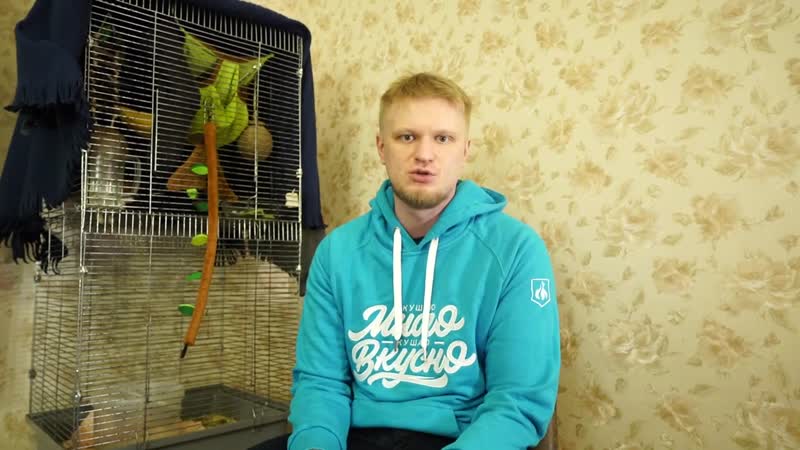 [муха не сидела] почему не надо заводить сахарного поссума?!