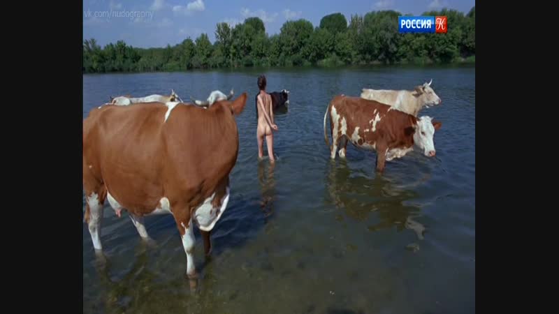 Голова porn video – Анна махлина голая в фильме "голова два уха" (2017, виталий суслин)