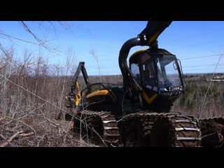 3 ponsse scorpions operating in northern new brunswick