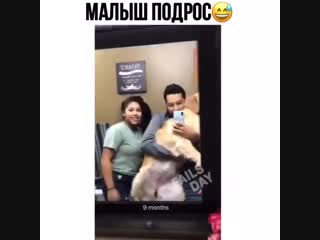 Милоты пост 🐶😍