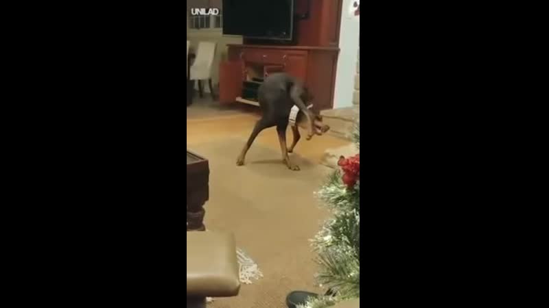 Вызывайте экзорциста!