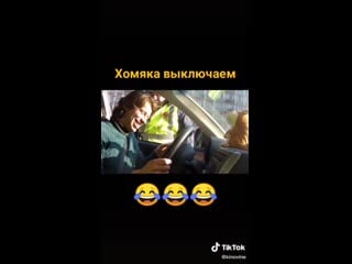 Хомяка выключаем