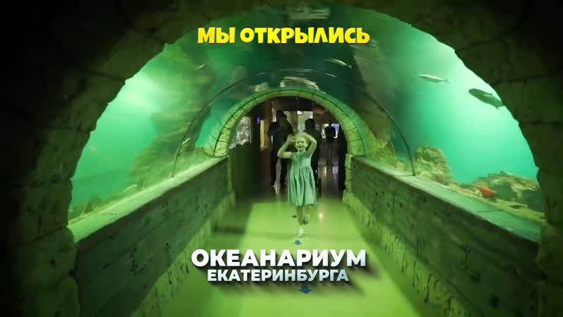 Мы открылись! океанариум екатеринбурга