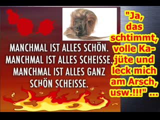 "alles scheisse deine lilly!!!“