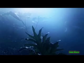 ▷ spatial vox fantastic love ◁