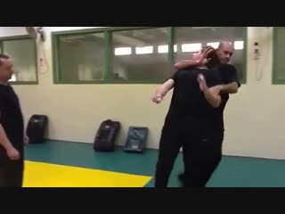 Eyal yanilov krav maga vip protection demonstration