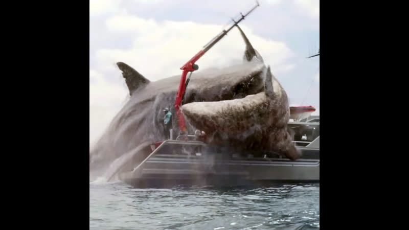 Нападение акулы