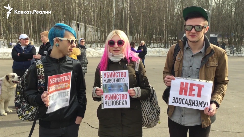 В москве зоозащитники потребовали расследовать массовый расстрел молодые в дагестане