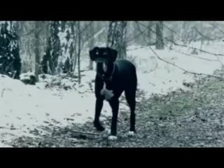 (hq!) the seer, tarja turunen feat doro pesch (ep 2008, my winter storm, 2007) subt español